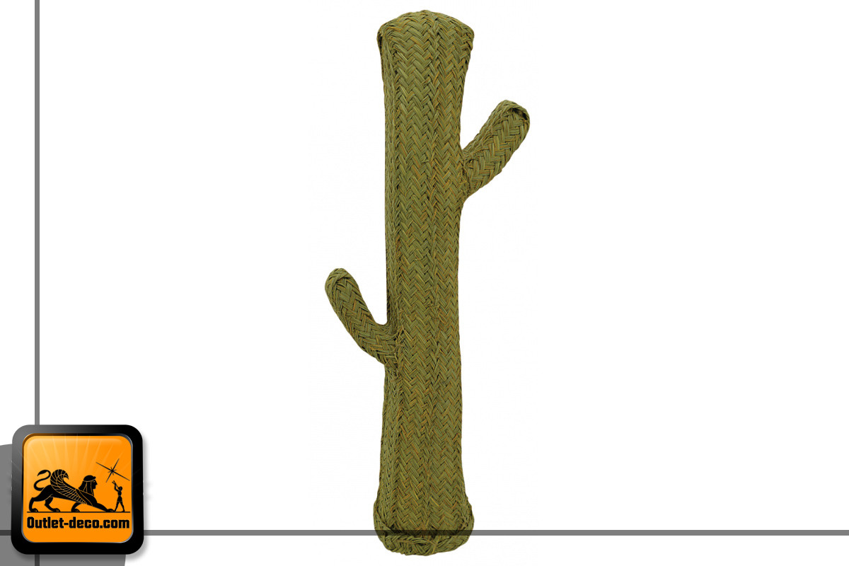 Cactus en alfa